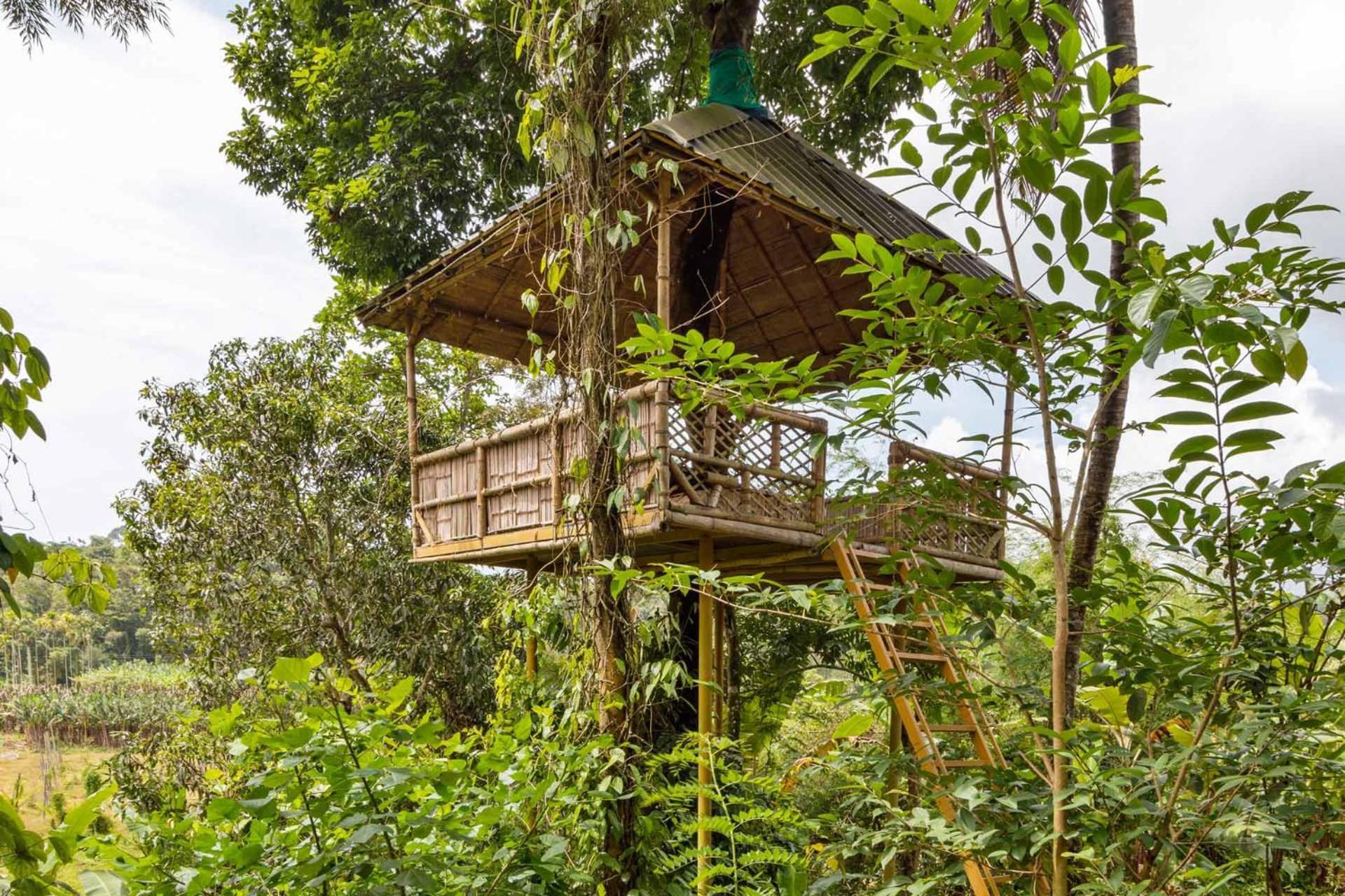 Serene Valley Resort Wayanad Mananthavady Exterior photo